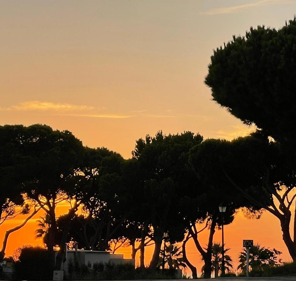 Scarlet'S Place - 1 Bed Victory Village Quinta Do Lago - Beach, Nature, Lakes Bagian luar foto